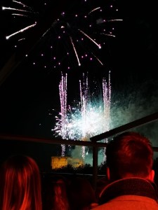 Peoples heads in the foreground with fireworks in the distance.