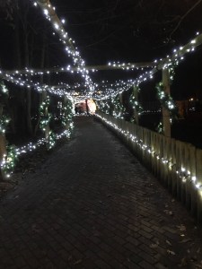 A tunnel of twinkling lights leading the way. It is dark in the photo and the lights shine bright white. 