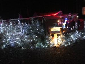 A row of snow dusted trees with lights twinkling in the darkness 