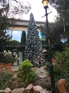 Tall Christmas tree with pretty white lights in the centre of the village. Photo taken during the day with blue sky 