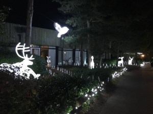 Wildlife installation made of lights. An owl flying in the sky and a family of deer on the grass to the left. 