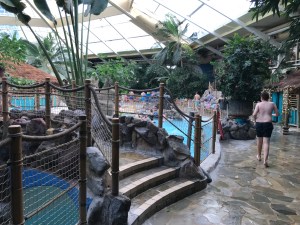 Different areas of the pool accessible by bridges. 
