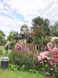 A photo taken in the distance with roses trailing around to the right