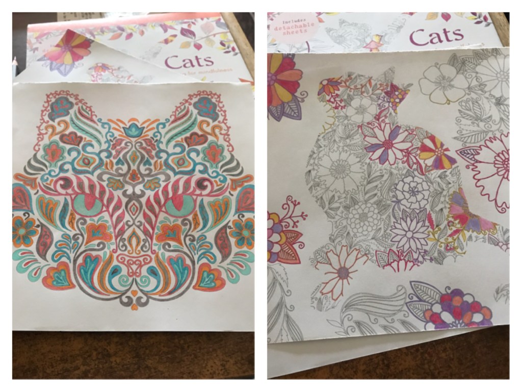 Two images of colouring cat pictures. They are intricate and detailed. The left image is a finished colouring of a cats face constructed from floral and swirly shapes. The right image is of a cat constructed from floral patterns. It is partly coloured. 