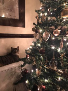 Christmas tree is on the right hand side. To the left is a radiator with a tabby cat laying on it beside the tree.