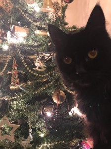 A photo of my green Christmas with gold and cream decorations and sparkly lights. There is the face or a black fluffy cat peeking in from the right hand side.