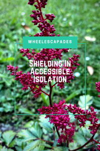 An image to pin. Title text Shielding In Accessible Isolation, is place over a photo of deep red flowers in my garden.
