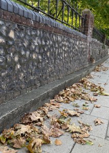 An old stone wall at an angle to the left, and a pavement following it is scattered with dry crusty leaves in oranges and browns. 