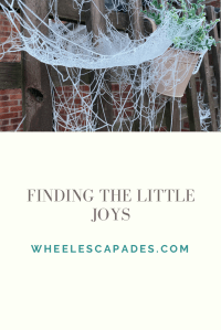 An image to pin. The top third is the same spider web image as above. At the bottom is the title text Finding the Little Joys in grey on a cream background.