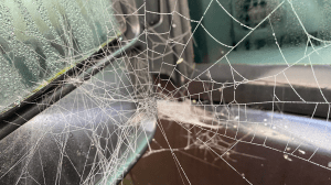 A delicate spiders web over the wing mirror of my car.