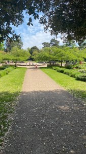 Looking through the trees into the park. There are not many people around, there is lots of green space, a smooth path and blue sky. 