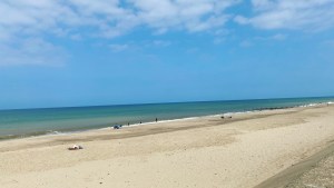 Looking out over an empty sandy beach. The sea is still and green. The sky a clear blue. 